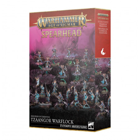 Tzaangor Warflock Spearhead