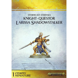 Knight-Questor Larissa Shadowstalker