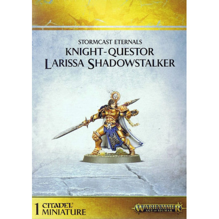 Knight-Questor Larissa Shadowstalker