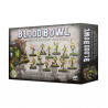 Wood Elf Blood Bowl team Athelorn Avengers