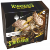 Magic the Gathering!: Secrets of Strixhaven Collector Booster Pack