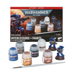 Space Marines: Intercessors + Paints