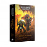 Galaxy in Flames (hardback)