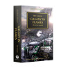 Galaxy in Flames (pb)