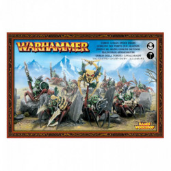 Gloomspite Gitz: Spiderfang Spider Riders